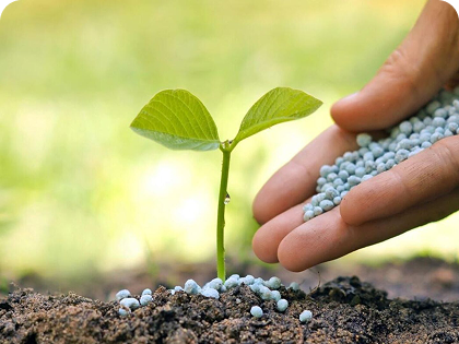 Duis aute irure dolor in reprehenderit in voluptate velit