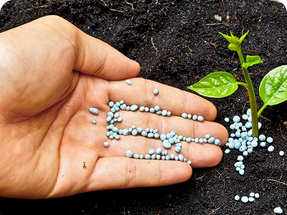 Duis aute irure dolor in reprehenderit in voluptate velid